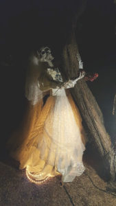 Skeleton in wedding dress Halloween display